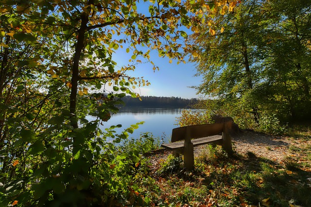 无疑是致命 无疑是致命