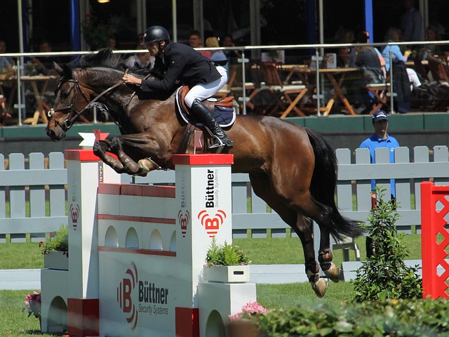 真实感人的 真实感人的