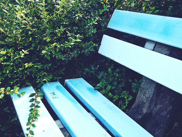 仅再度证明 仅再度证明