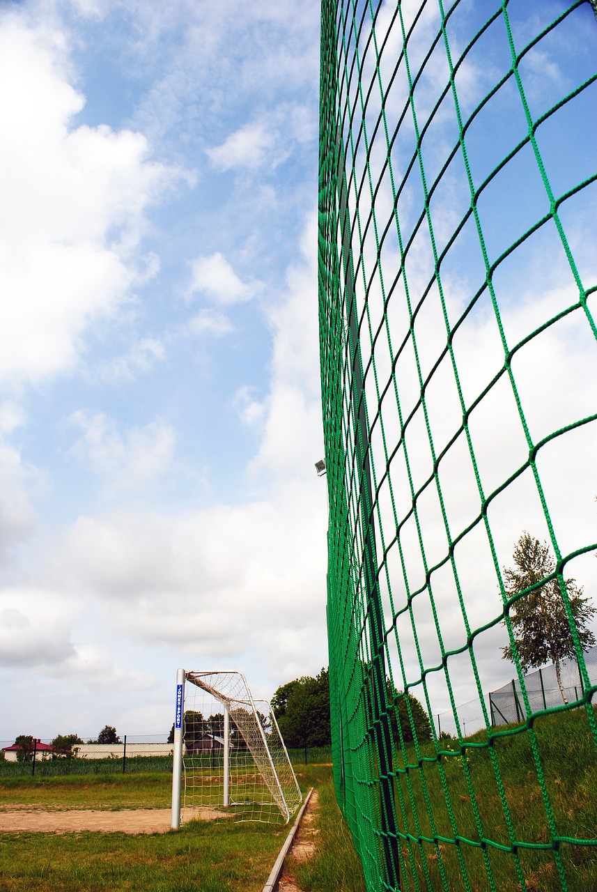 双方都有广 双方都有广