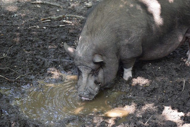 层面的精准 层面的精准