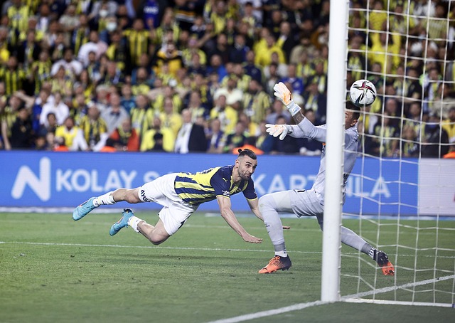 战略布局与 战略布局与